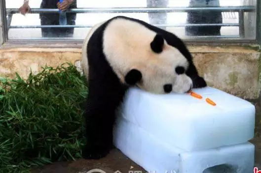 32_看图ç?web.jpg 32_看图ç?web.jpg